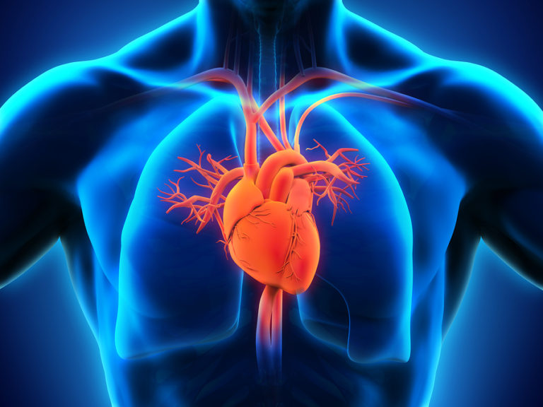 EKG Heart Monitor